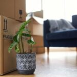 7 Best Rental Property Upgrades to Drive Revenue and Elevate Tenant Experience