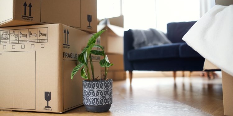 best rental property upgrades